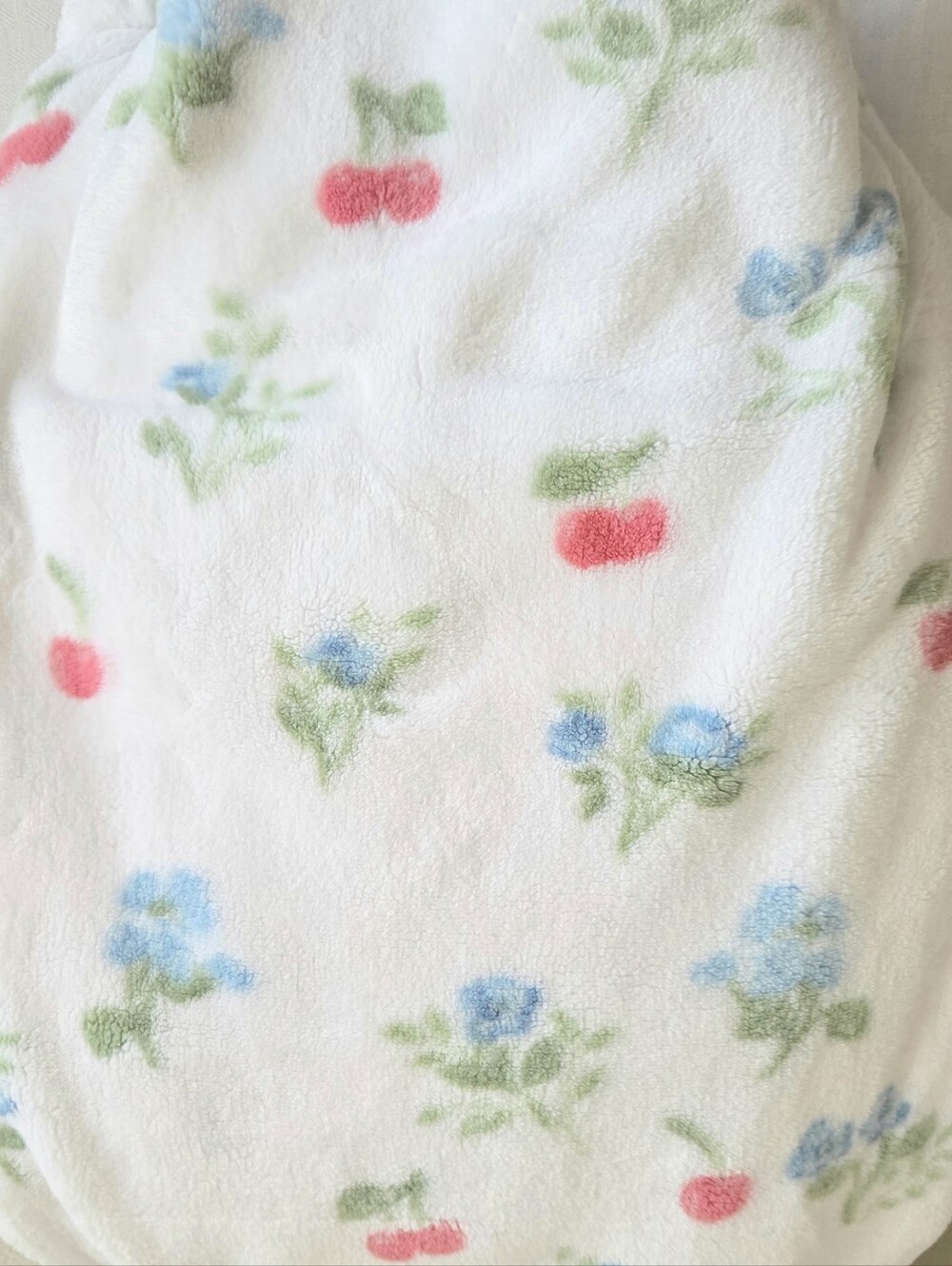 Shabby Chic Rachel Ashwell Farmhouse Plush Throw Blanket Blue Floral Pink Cherry